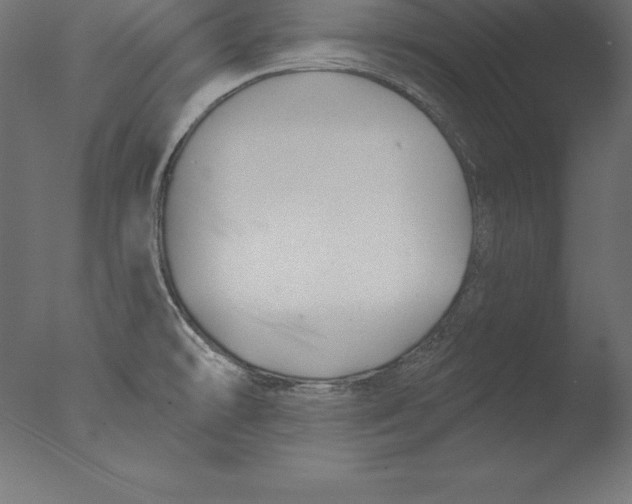 X0000076341478200610201718