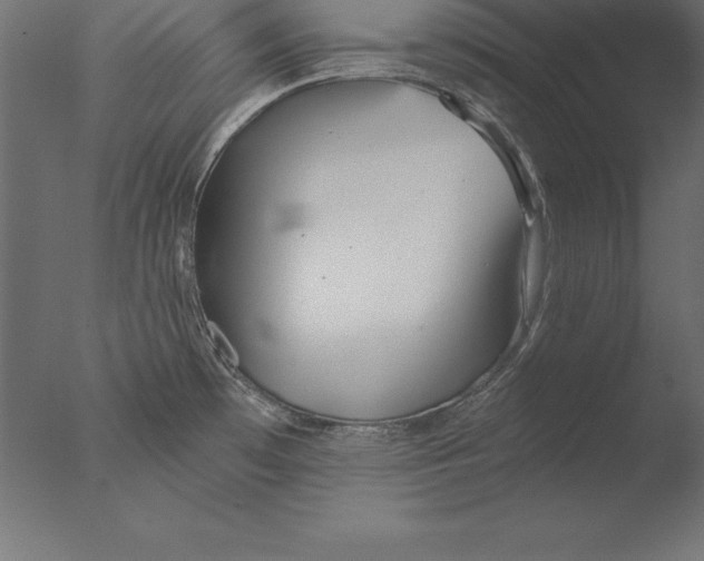 X0000076341481200610201718