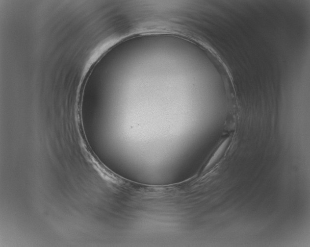 X0000076341485200610201718