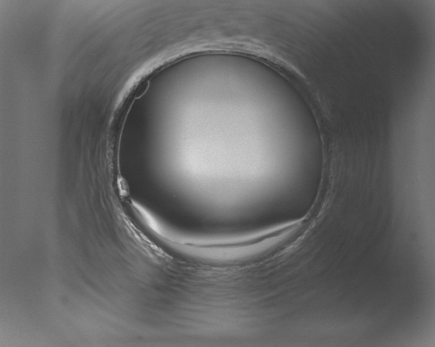 X0000076341506200610201717