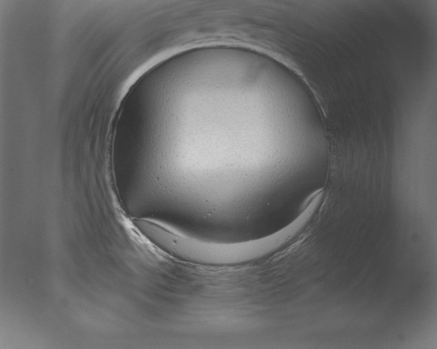 X0000076341534200610201717