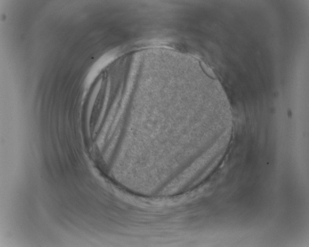 X0000076340006200610272106