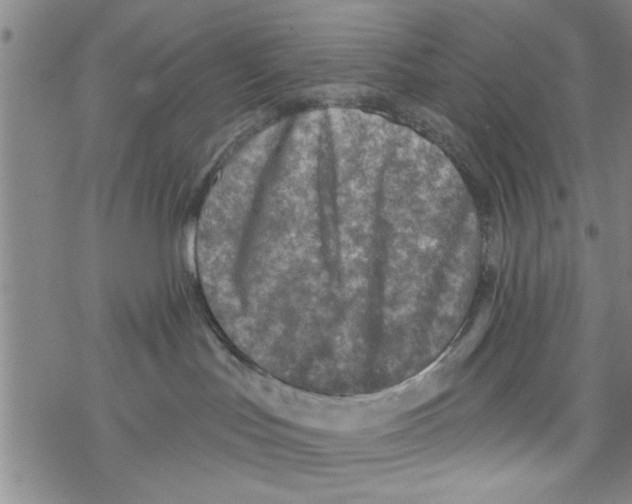 X0000076340047200610272106