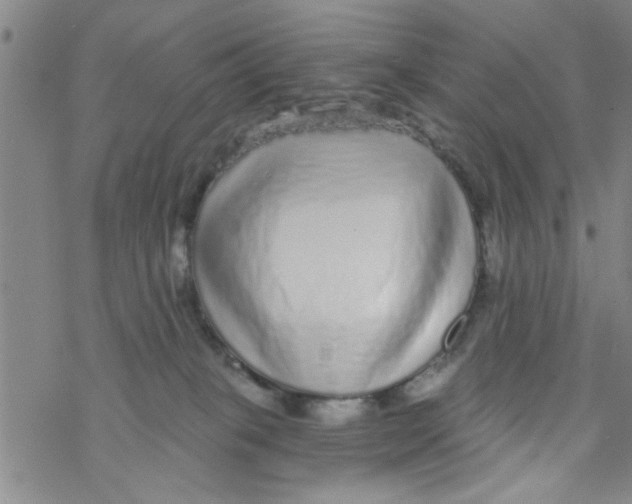 X0000076340085200610272105