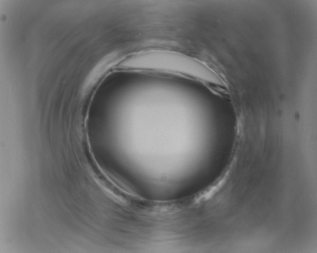 X0000076340101200610272105