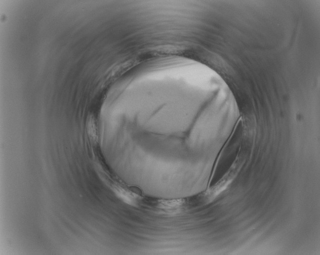 X0000076340143200610272104