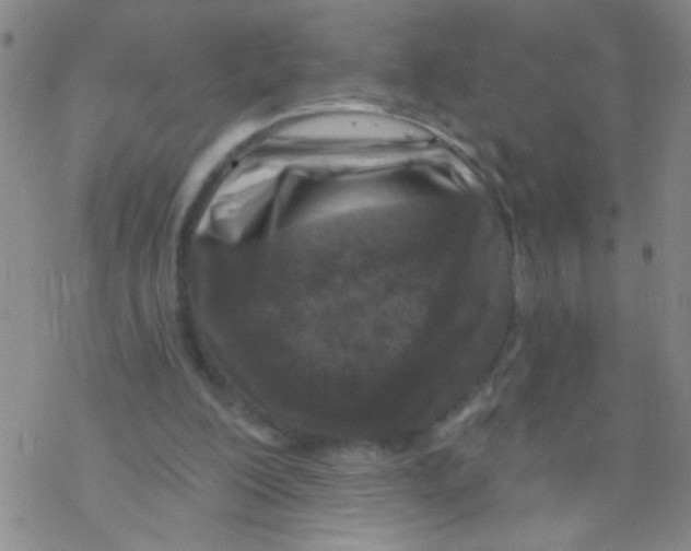 X0000076340200200610272103