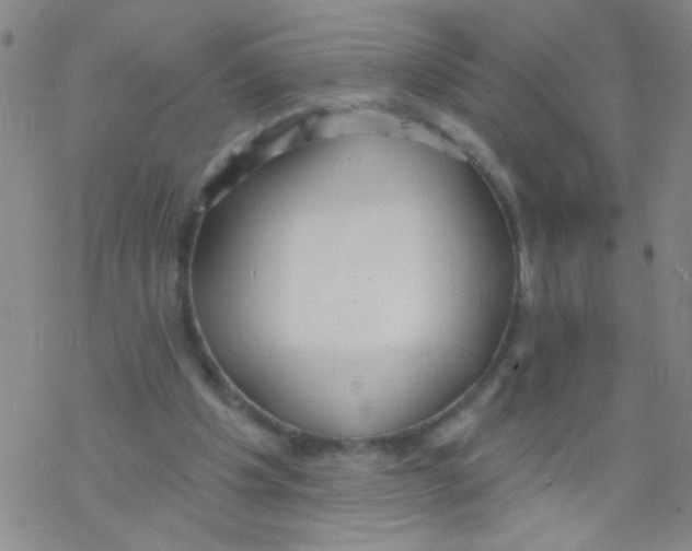 X0000076340201200610272103