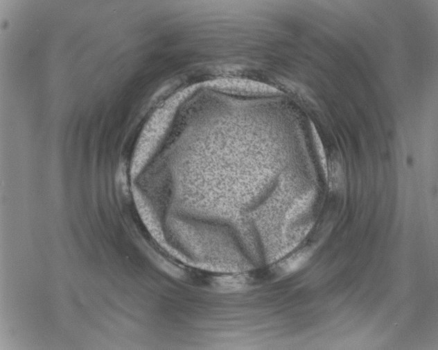 X0000076340238200610272103