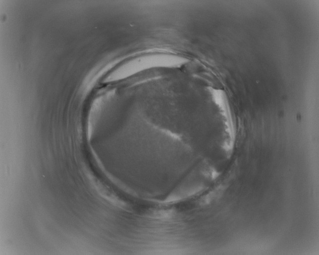X0000076340247200610272102