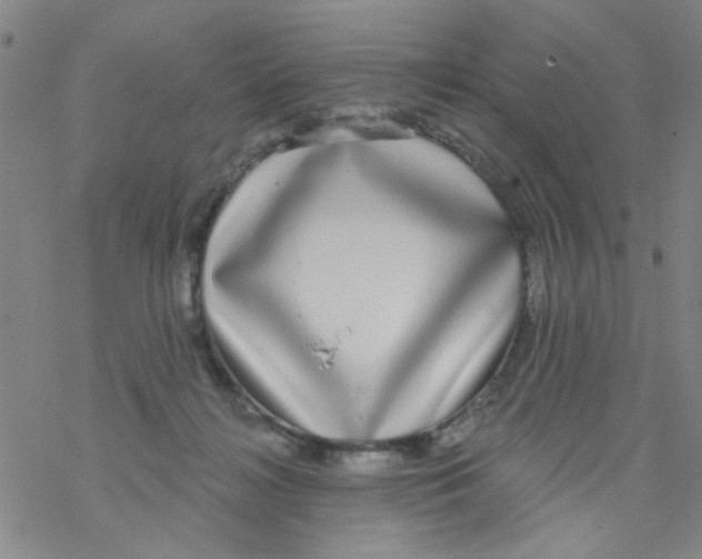 X0000076340268200610272102