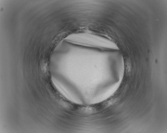 X0000076340276200610272102