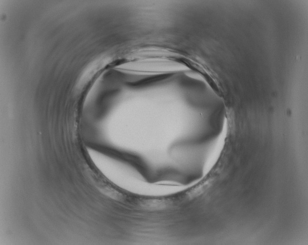X0000076340293200610272102