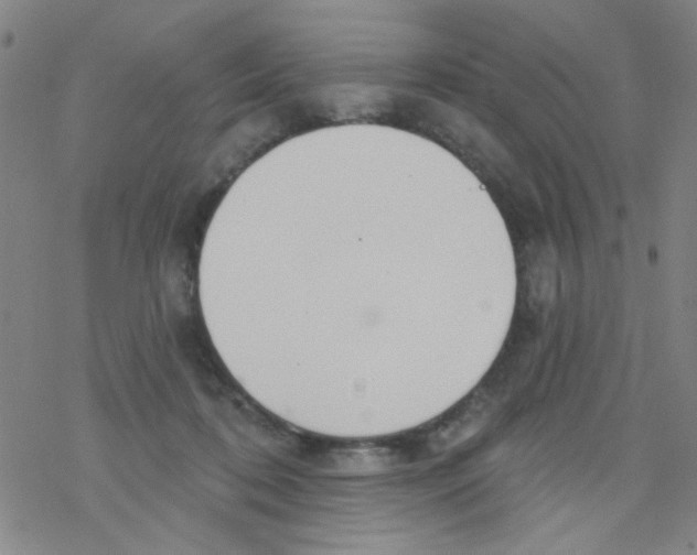 X0000076340316200610272101