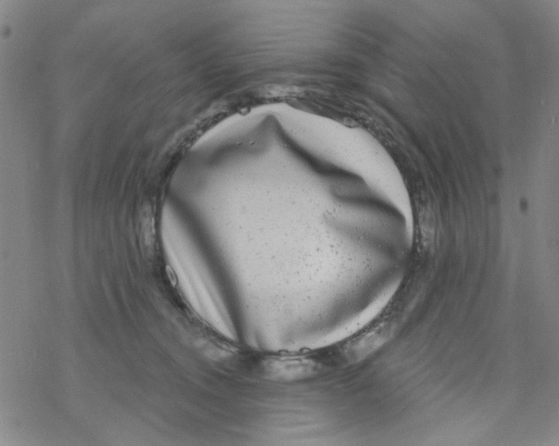 X0000076340372200610272101
