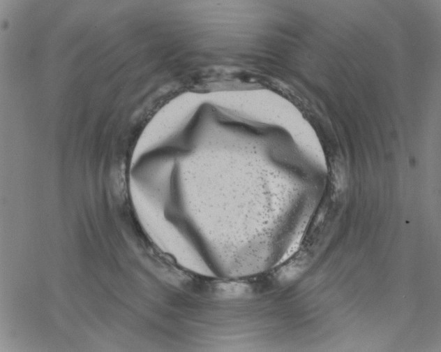 X0000076340376200610272101