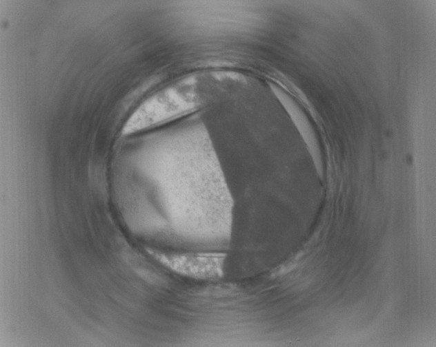 X0000076340386200610272100