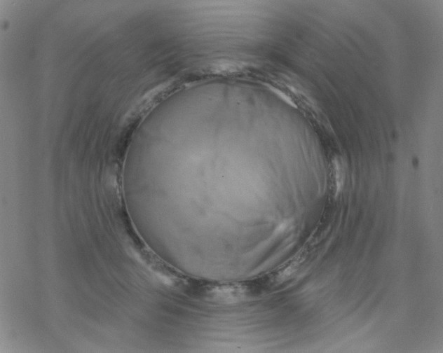 X0000076340415200610272100
