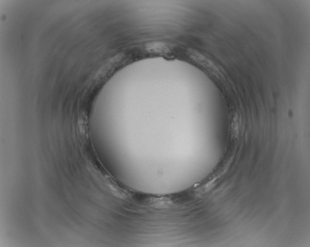 X0000076340424200610272100