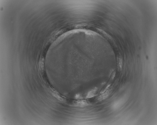 X0000076340475200610272059