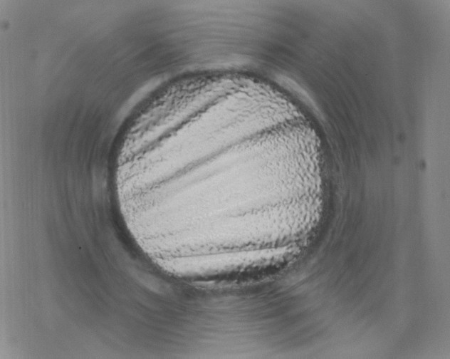 X0000076340483200610272059