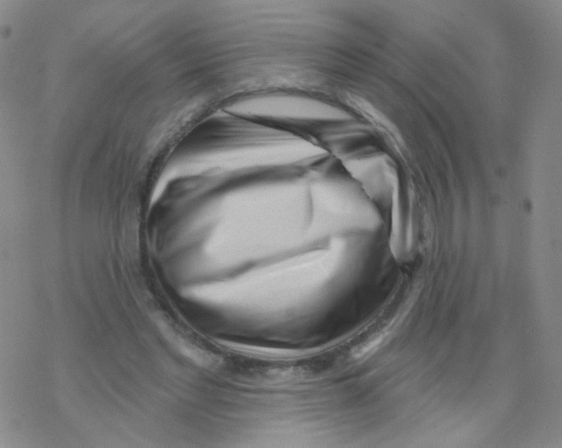 X0000076340493200610272058