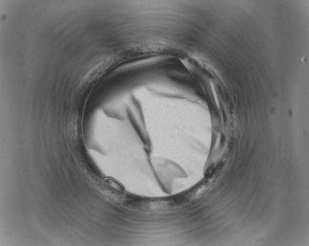 X0000076340501200610272058