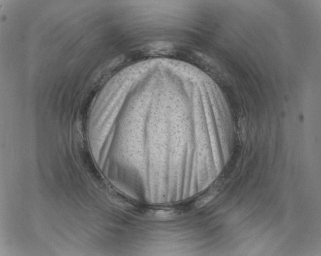 X0000076340506200610272058