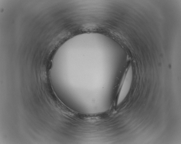 X0000076340508200610272058
