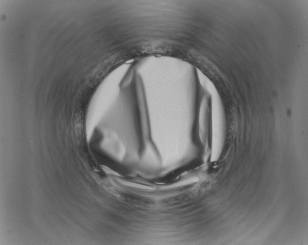 X0000076340513200610272058