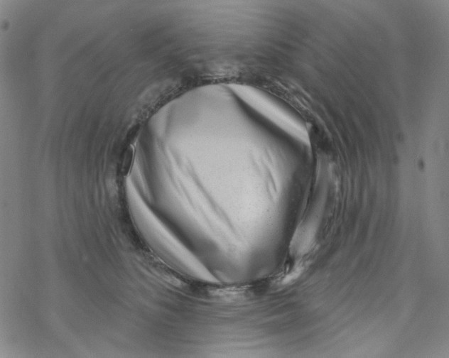 X0000076340516200610272058