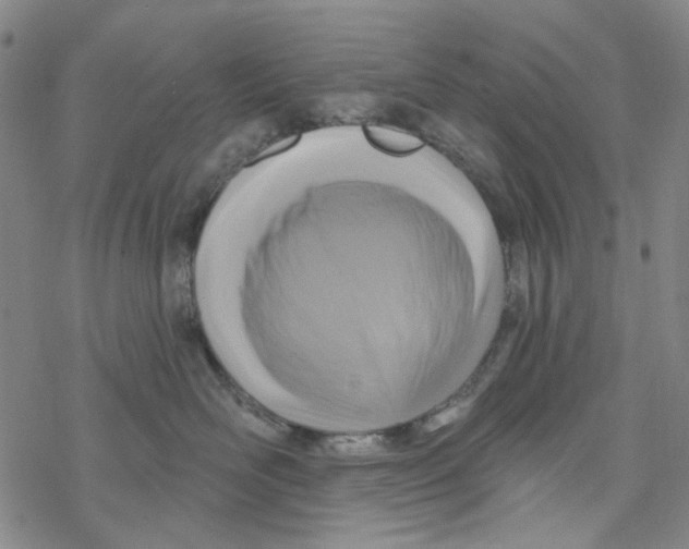 X0000076340526200610272058