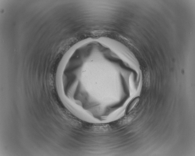 X0000076340571200610272058