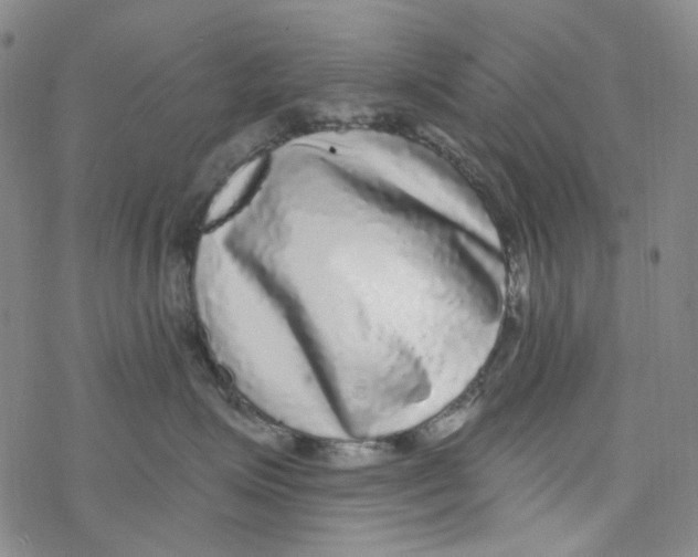 X0000076340623200610272056