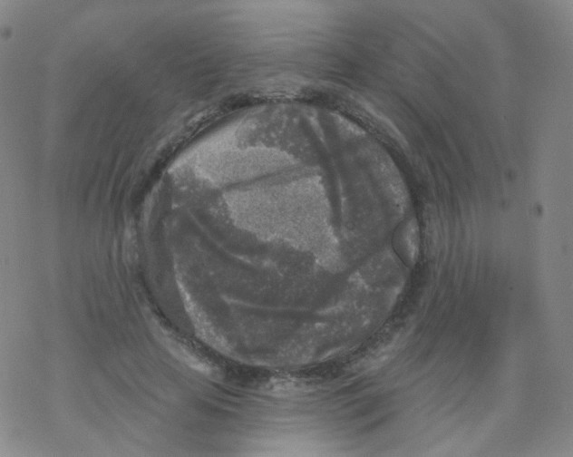 X0000076340641200610272056