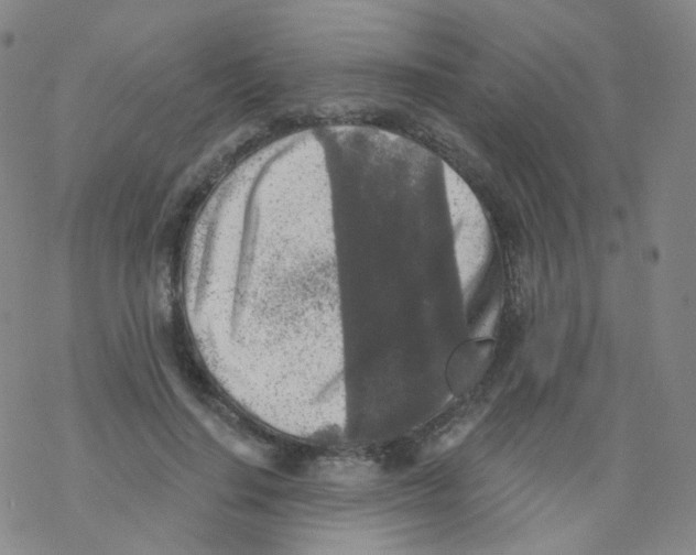 X0000076340644200610272056