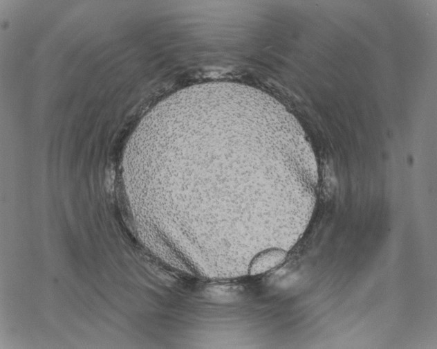 X0000076340657200610272056