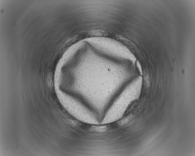 X0000076340665200610272056