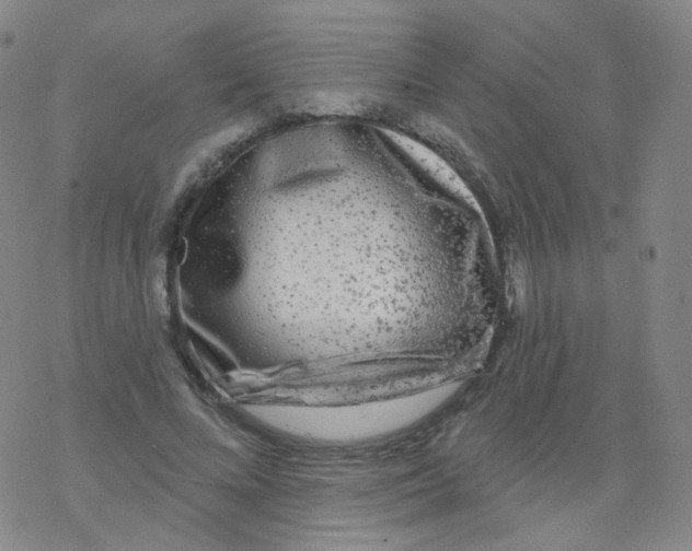 X0000076340688200610272055