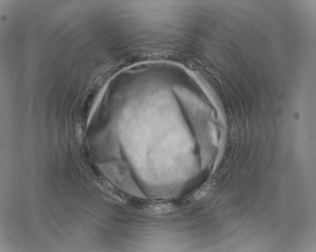 X0000076340716200610272055