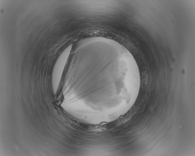 X0000076340754200610272055