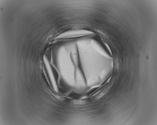X0000076340766200610272055