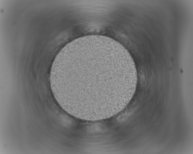 X0000076340769200610272054