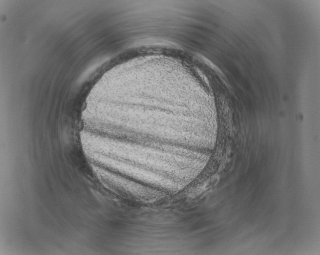 X0000076340775200610272054