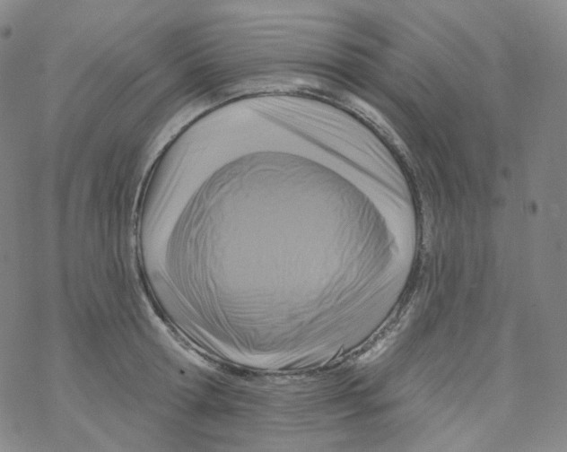 X0000076340802200610272053