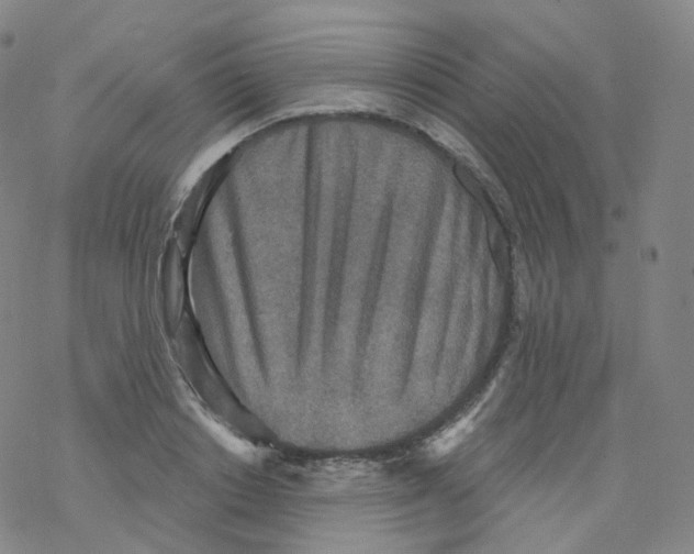 X0000076340842200610272053