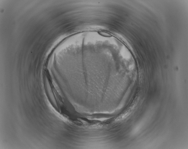 X0000076340851200610272053
