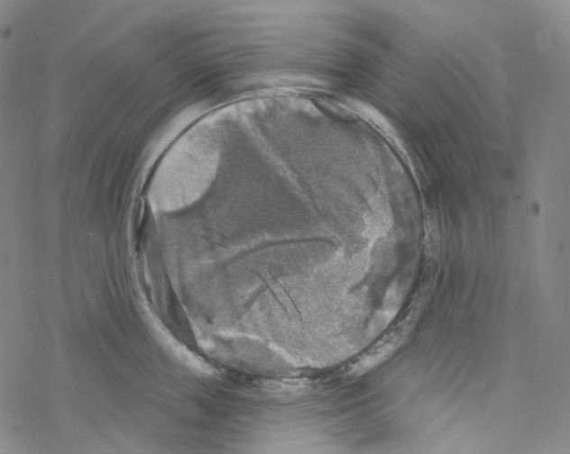 X0000076340859200610272053