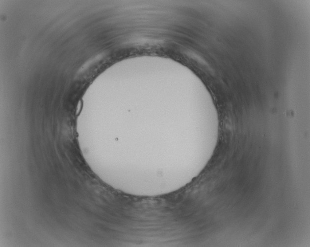 X0000076340869200610272052