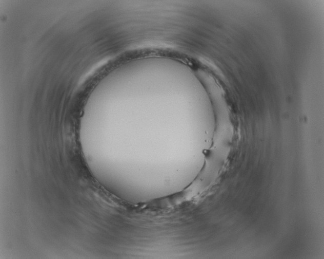 X0000076340872200610272052